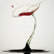 Ulf Pedersen's photo