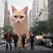 Deborah Lifshey's photo
