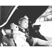 Jamie Pon's photo