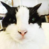 Carol Dearing's photo