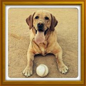 Danielle Kutter's photo