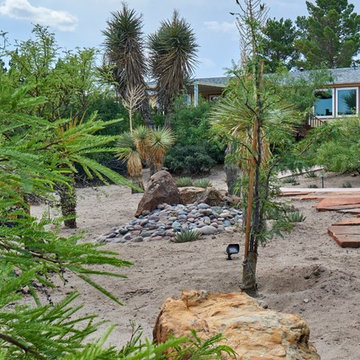Elephant Butte New Mexico Asian Costa Rican
