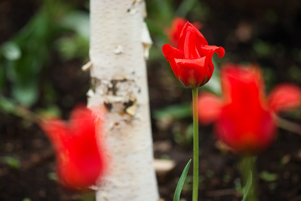 by Татьяна Звёздочкина/Студия VENUS DESIGN