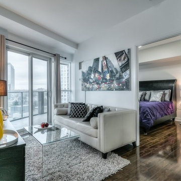 Staging2Sell 60 ABSOLUTE