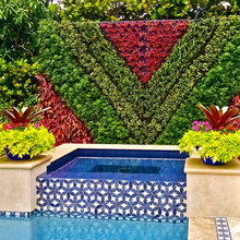 Karen.  Living Walls