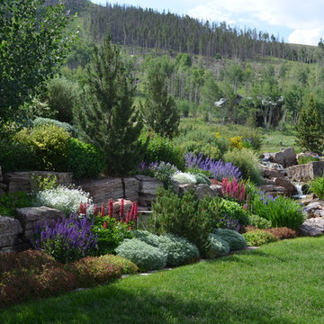 Design - Build Mountain Ranch Landscape in Summit County, CO
