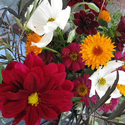 Flora Verdura - Products