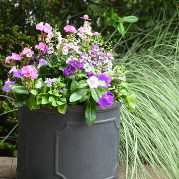 Summer Containers