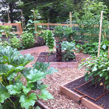 Vegetable Gardens