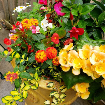 Summer container garden