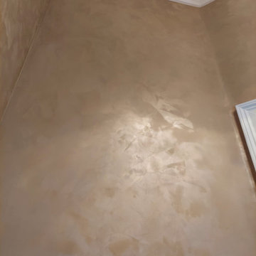 Interior Painting & Venetian Plastering (The Oaks)