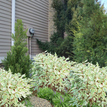 Foundation Plantings