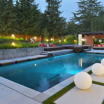 Contemporary Garden and Pool