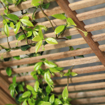 Rénovation d'un jardin en "U"
