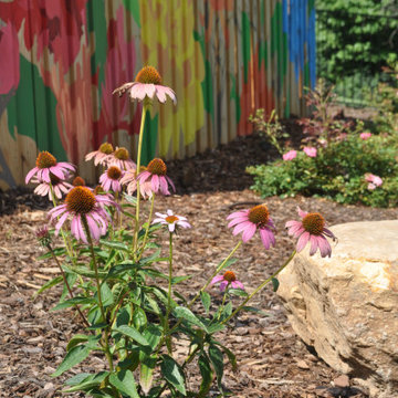 Coneflower and Commissioned Fence Painting