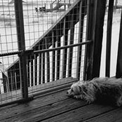 Taylor Blackburn's photo