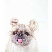 Anna Veltsista's photo