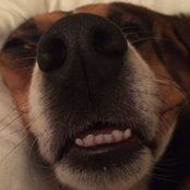 Susan Houde's photo