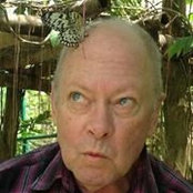 Peter Curtis's photo