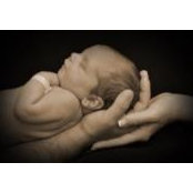 Shaun McCloskey's photo