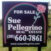 Sue Pellegrino Wolf's photo