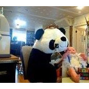 Richard Pandas billede