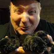 Jim Dillehays foto