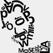 MoSe Arts foto