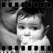 Shane Prestons foto