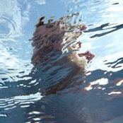 Foto von Noel Taylor