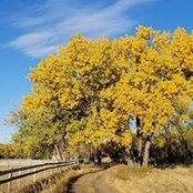 Whitney Linder's photo