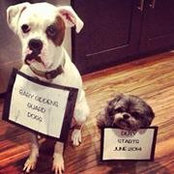 Andrew Giddens's photo