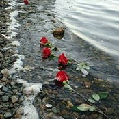 Matthew Robert's photo