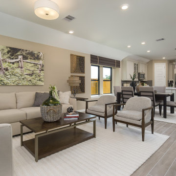 Houston, Texas | Newport - Enclave Maldives Living Room