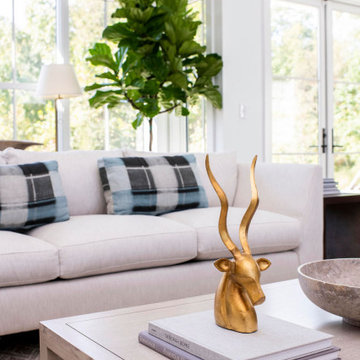 Clean, modern living room