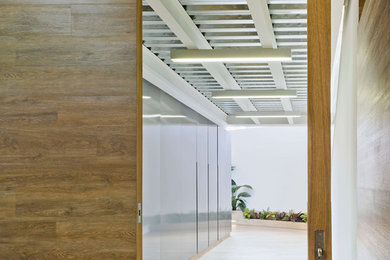 Diseño de puerta principal moderna pequeña con paredes metalizadas, suelo de madera en tonos medios, puerta pivotante, puerta de madera en tonos medios y suelo marrón