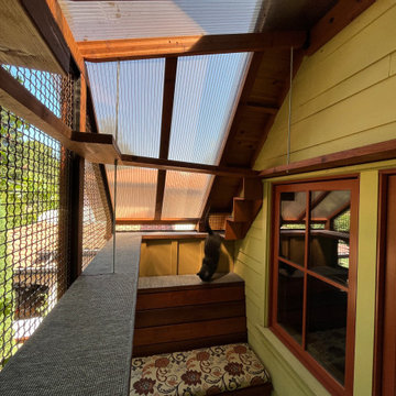 Room to Roam in Palo Alto