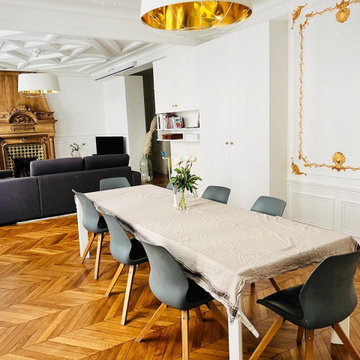 Rénovation de salon / séjour à Paris