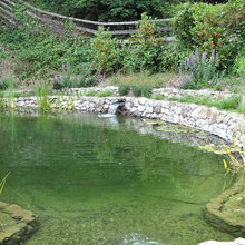 Rock Pond