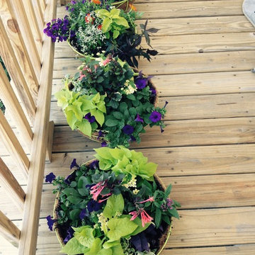 Container Gardens