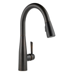 Delta Essa&reg; Single Handle Pull-down Kitchen Faucet - Kitchen Faucets