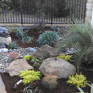 Water Wise Landscape