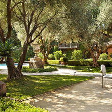 Front Yard Landscaping