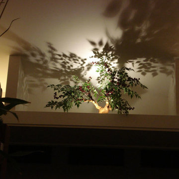 Accent Lighting