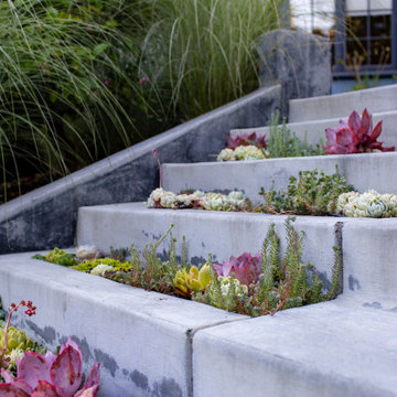 Berkeley Kid-Friendly Backyard