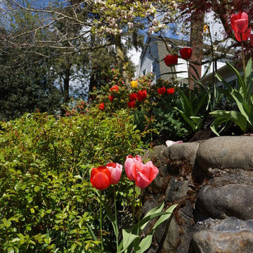 Springtime in the City
