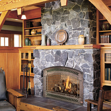 Hearth Gas Fireplace