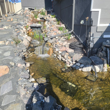Custom✨ Koi Pond