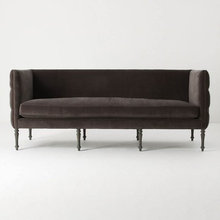 Guest Picks: Couch Time