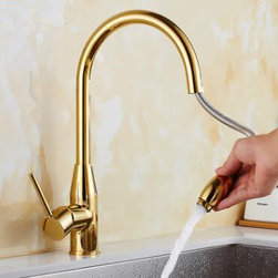 Golden Printed Brass Kitchen Pull Out Faucet Mixer Kitchen Sink Faucet TG162P - Kitchen Faucets